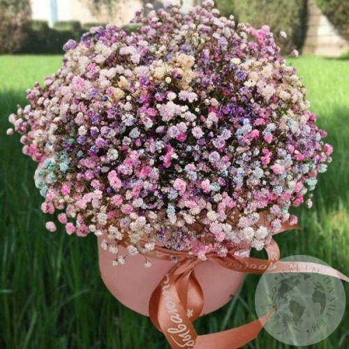 Композиция гипсофил в коробке в магазине Цветы Планеты