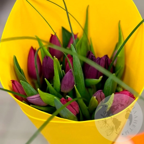 Букет из 15 тюльпанов фиолетовых и темно-малиновых в магазине Цветы Планеты