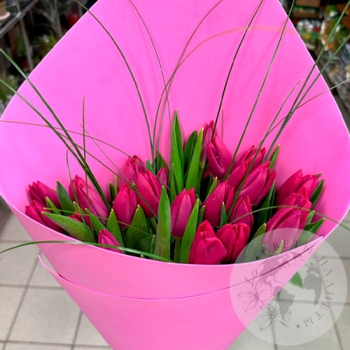 Букет 25 тюльпанов и берграсса в магазине Цветы Планеты