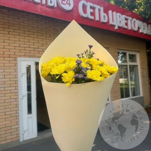 Букет из хризантем кустовых и астера в магазине Цветы Планеты Букет из хризантем кустовых и астера в магазине Цветы Планеты