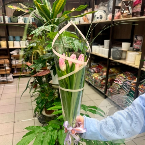 Букет из 7 тюльпанов розовых в магазине Цветы Планеты