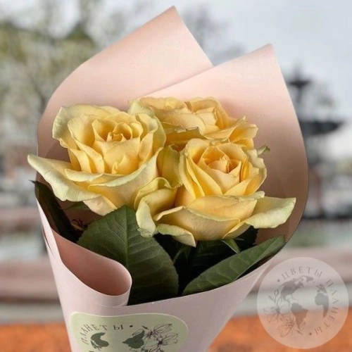 3 розы кремовых 60 см. в магазине Цветы Планеты