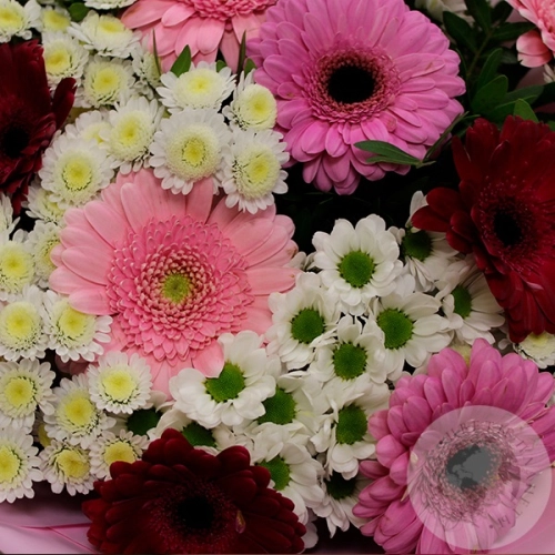 Букет из кустовых хризантем, сантини и герберы в магазине Цветы Планеты