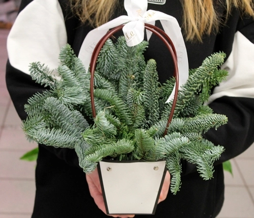 Композиция в сумке на Новый год в магазине Цветы Планеты