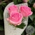 3 розы розовых 50 см. в магазине Цветы Планеты