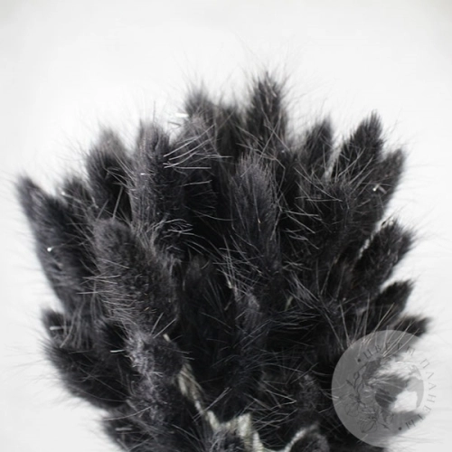 Лагурус сухоцвет черно-зеленый в магазине Цветы Планеты