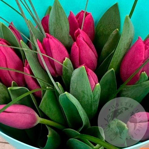 Букет 15 тюльпанов в магазине Цветы Планеты