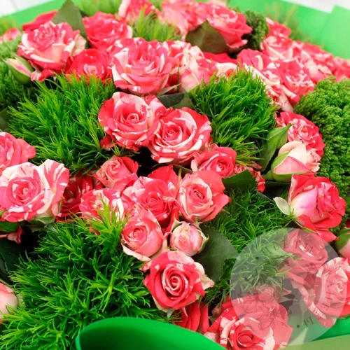 Букет из роз и зеленой гвоздики в магазине Цветы Планеты