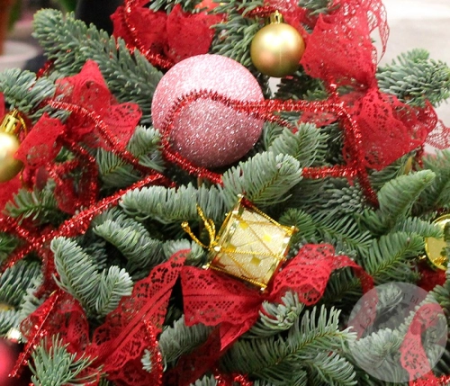 Елка "Новый год" в магазине Цветы Планеты