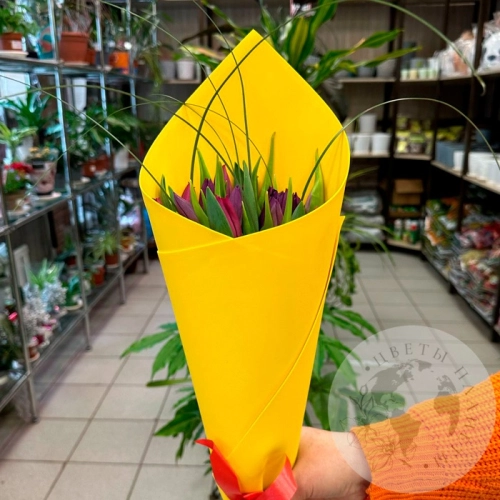 Букет из 15 тюльпанов фиолетовых и темно-малиновых в магазине Цветы Планеты