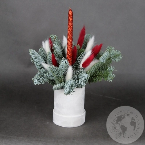 Подарки на Новогодняя композиция в коробке в магазине Цветы Планеты