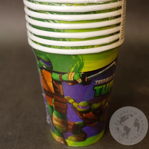 Набор посуды "Черепашки-ниндзя" в магазине Цветы Планеты