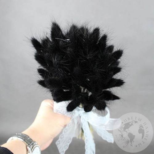 Лагурус сухоцвет черно-зеленый в магазине Цветы Планеты