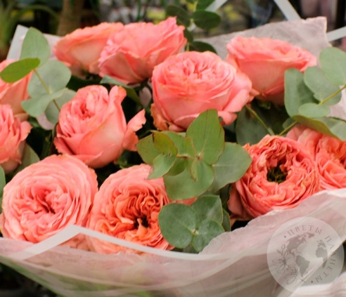 Букет из 11 роз и эвкалипта в магазине Цветы Планеты