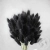 Лагурус сухоцвет черно-зеленый Лагурус сухоцвет черно-зеленый в магазине Цветы Планеты