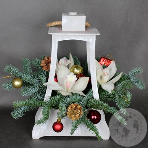 Композиция из орхидей на Новый год "Фонарь" в магазине Цветы Планеты