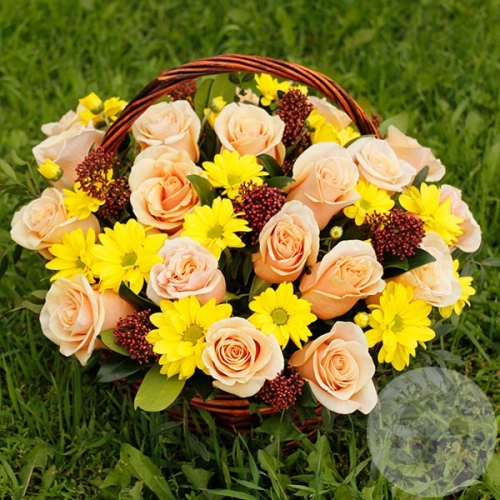 Композиция из 25 роз и фисташки в корзине в магазине Цветы Планеты