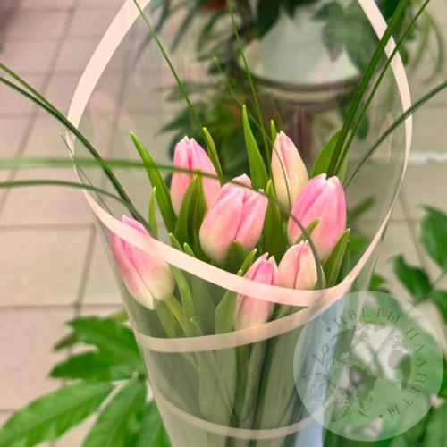 Букет из 7 тюльпанов розовых в магазине Цветы Планеты