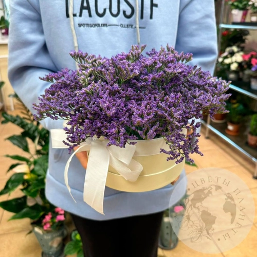 Композиция из лимониума в коробке в магазине Цветы Планеты