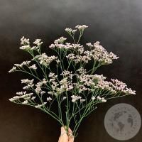 Лимониум розовый 3 шт. в магазине Цветы Планеты