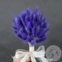 Лагурус сухоцвет фиолетовый