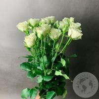 7 кустовых роз белых в магазине Цветы Планеты