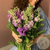 Маттиола микс 15 шт. в магазине Цветы Планеты