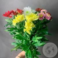 9 Хризантем кустовых MIX в магазине Цветы Планеты