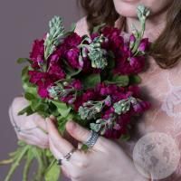 Маттиола красная 5 шт. в магазине Цветы Планеты