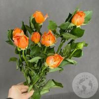 Кустовая роза оранжевая 60 см. в магазине Цветы Планеты