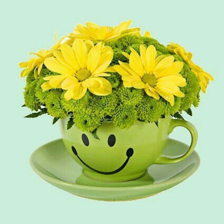 Какие цветы подарить для поднятия настроения