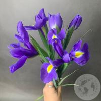 5 синих ирисов