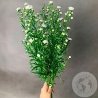 Астер белый 7 шт.