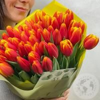 51 тюльпан красно-желтый в магазине Цветы Планеты