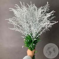 5 Солидаго белых