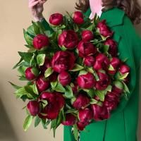 31 Пион бордовый в магазине Цветы Планеты