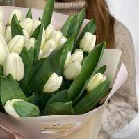 51 тюльпан белый в магазине Цветы Планеты