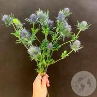 Эрингиум 3 шт.