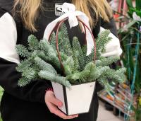 Композиция в сумке на Новый год