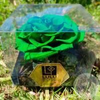 Стабилизированная роза зеленая в магазине Цветы Планеты