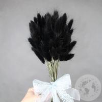 Лагурус сухоцвет черно-зеленый