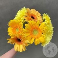 7 гербер желтых в магазине Цветы Планеты