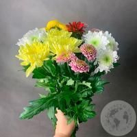 7 Хризантем кустовых MIX