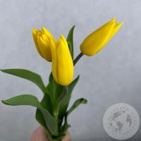 3 тюльпана желтых в магазине Цветы Планеты