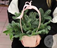 Композиция на Новый год в сумке