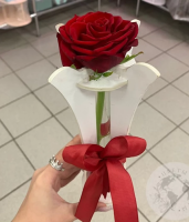 Роза красная в колбе 1 шт. в магазине Цветы Планеты