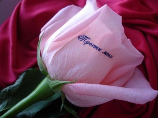 Как выбрать букет, чтобы попросить прощения