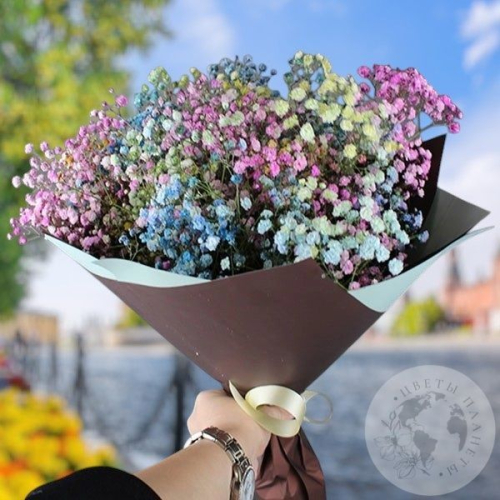 Букет из 9 гипсофил в магазине Цветы Планеты