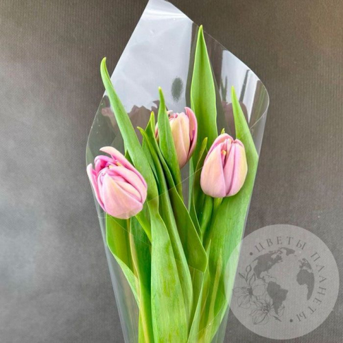 3 розовых пионовидных тюльпана в магазине Цветы Планеты