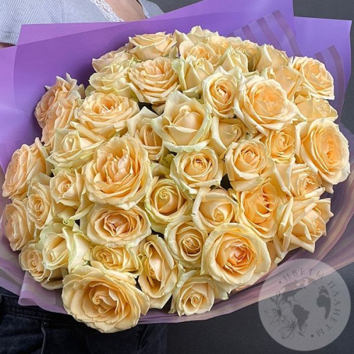 41 роза кремовая 60 см. в магазине Цветы Планеты